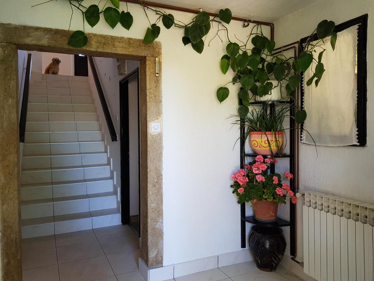 Skrbčići Apartment Melanie מראה חיצוני תמונה